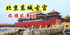 肏骚逼自拍视频中国北京-东城古宫旅游风景区